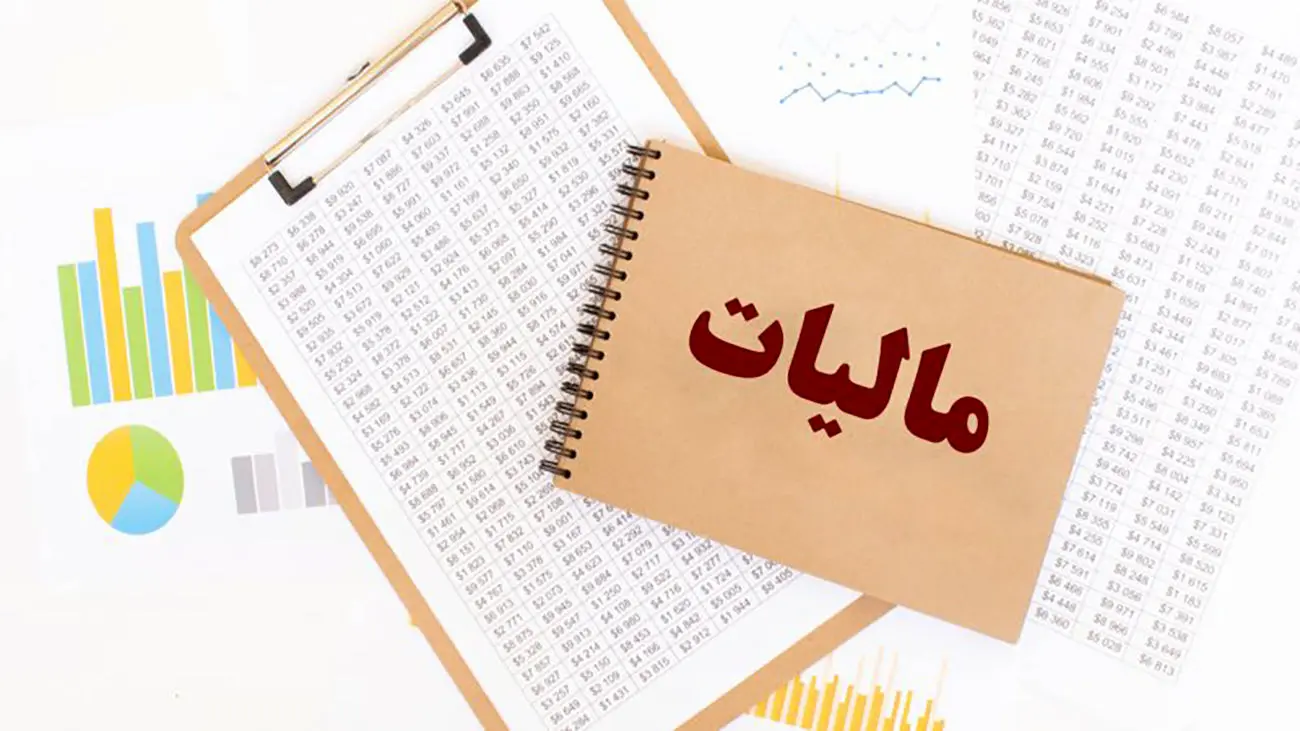 دستور ویژه برای حسابرسی دقیق مالیات این مشاغل / سبحانیان صادر کرد