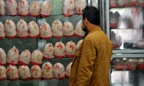 مرغ طلا شد؟ تازه‌ترین خبرهای عجیب از بازار مرغ ایران