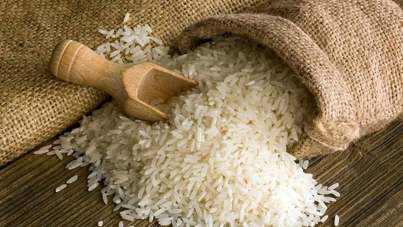 برنجهای آلوده وارداتی وارد بازار شدند؟ / مسیح کشاورز جزئیات را گفت