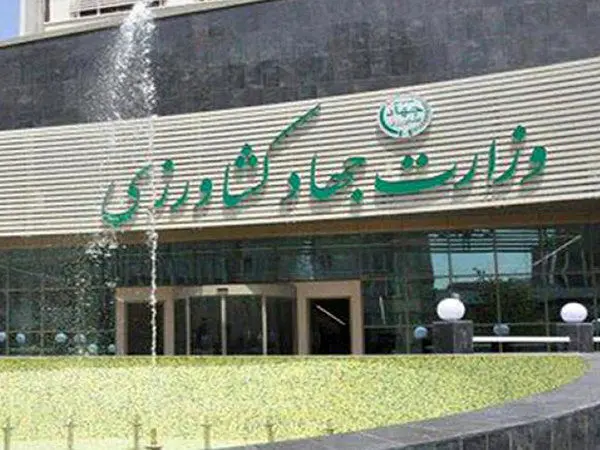 رصد بازار تشدید میشود