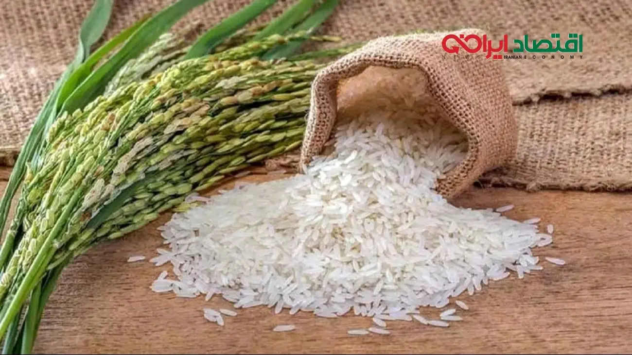 فروش برنج ایرانی با قیمت سه برابر/ قیمت واقعی چقدر است؟