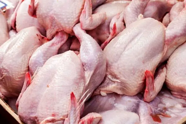 جزییات جدید از تامین مرغ گوشتی مورد نیاز اعلام شد