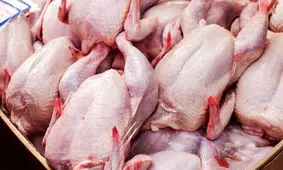جزییات جدید از تامین مرغ گوشتی مورد نیاز اعلام شد