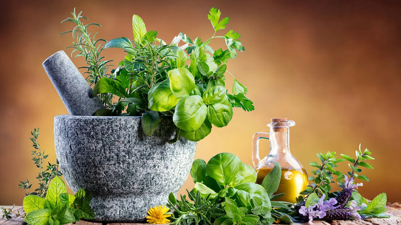 معرفی برترین برندهای داروهای گیاهی شرکتی در طب سنتی