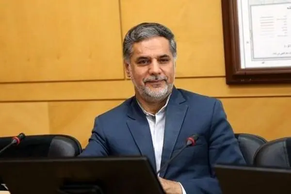 نقوی حسینی: برخی نمایندگان برای سلبریتی شدن همه نوع نظری می‌دهند 