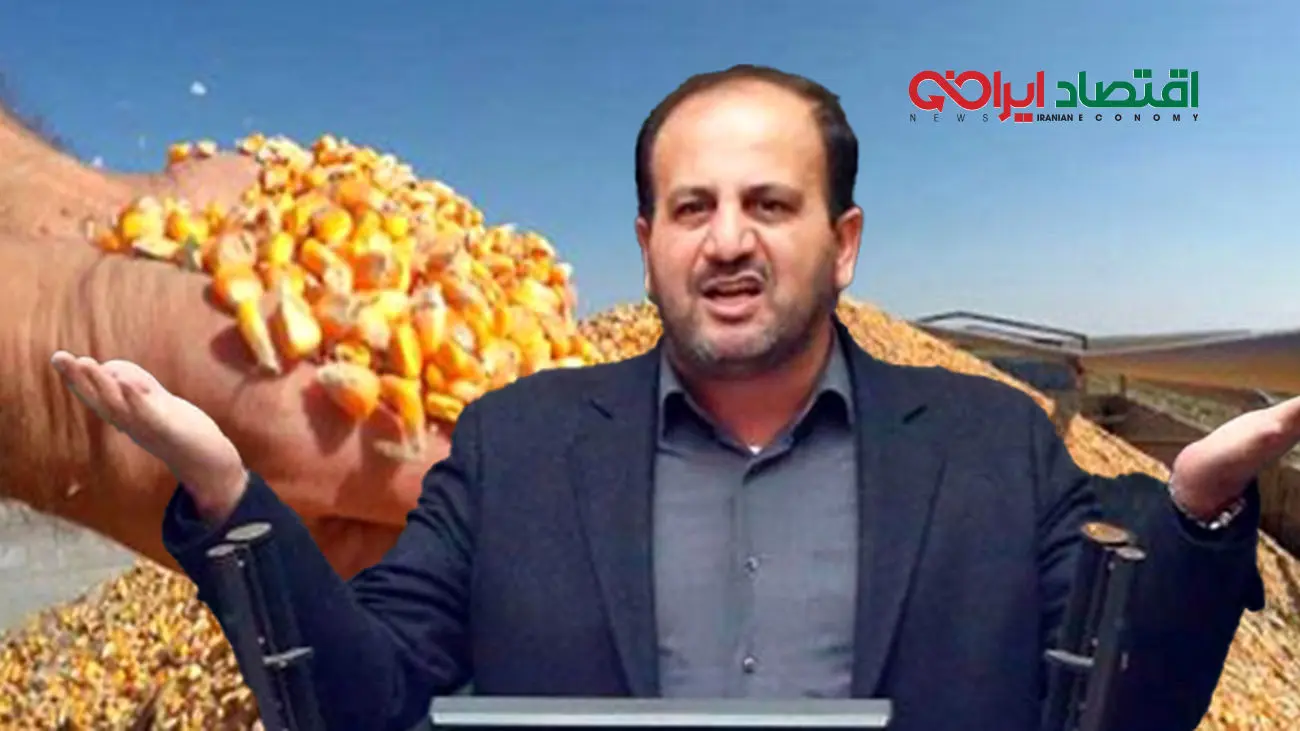 واردات نهاد دست دو ، سه نفر است/مداربسته گرانی مرغ می یابد؟