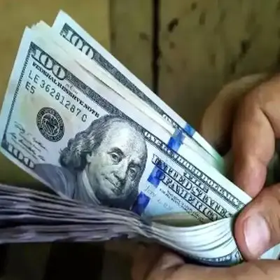 قیمت دلار به کجا می‌رسد؟/ نظر متفاوت 2 گروه متخصص!