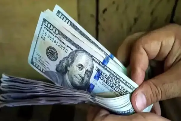 قیمت دلار به کجا می‌رسد؟/ نظر متفاوت 2 گروه متخصص!