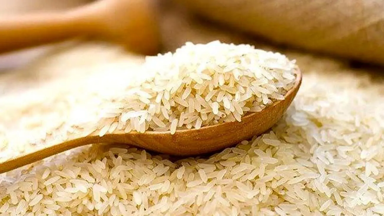 برای اولینبار برای برنج قیمتگذاری شد / افزایش ۳۵ درصدی صادرات + فیلم