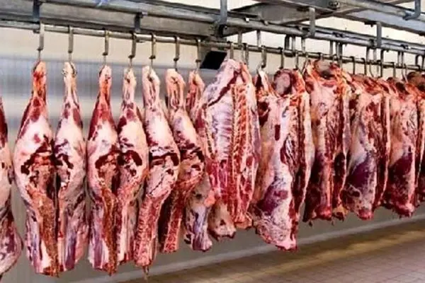 جدیدترین قیمت گوشت قرمز امروز  پنجشنبه ۶ دی ۱۴۰۳+ جدول 