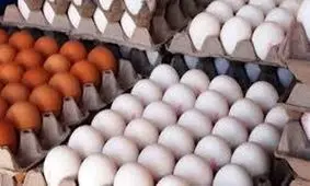نرخ جدید تخم مرغ اعلام شد؛ پاییزی پر از شوک