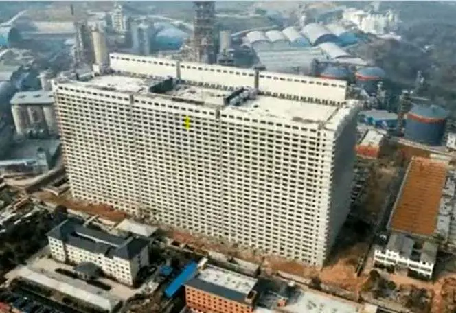 دامداری در آسمانخراش / شم اعجاب انگیز چینی ها در اقتصاد