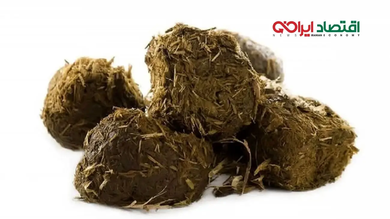 آخرین افزایش قیمت عنبرنسا در شهریور 1404/ چرا این ماده گران شد؟