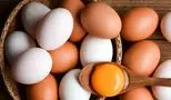 قیمت تخم‌ مرغ و شانه تخمه‌ مرغ محلی امروز/ اول شهریور ۱۴۰۴