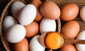 قیمت تخم‌ مرغ و شانه تخمه‌ مرغ محلی امروز/ اول شهریور ۱۴۰۴
