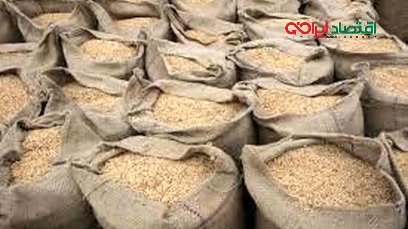 واردات برنج هم شرطی شد