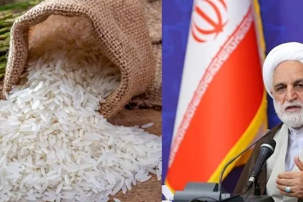 علت گرانی برنج از زبان رئیس قوه قضائیه مشخص شد + فیلم