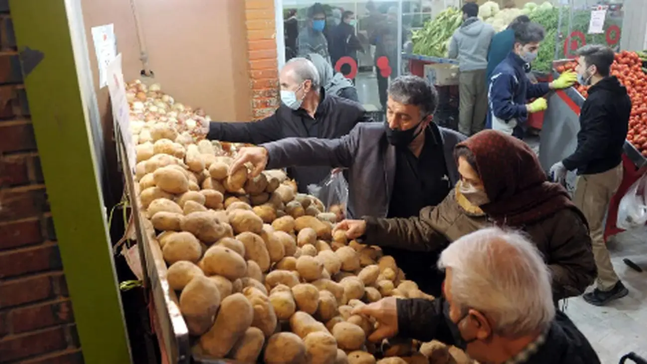سیب زمینی بازنشسته گرانی شد ! / با این قیمت بخرید !