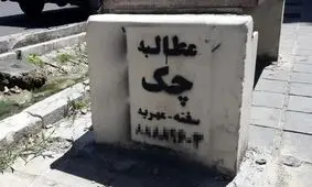 عجیب‌ترین شغل‌ها در ایران که پول پارو می‌کنند!