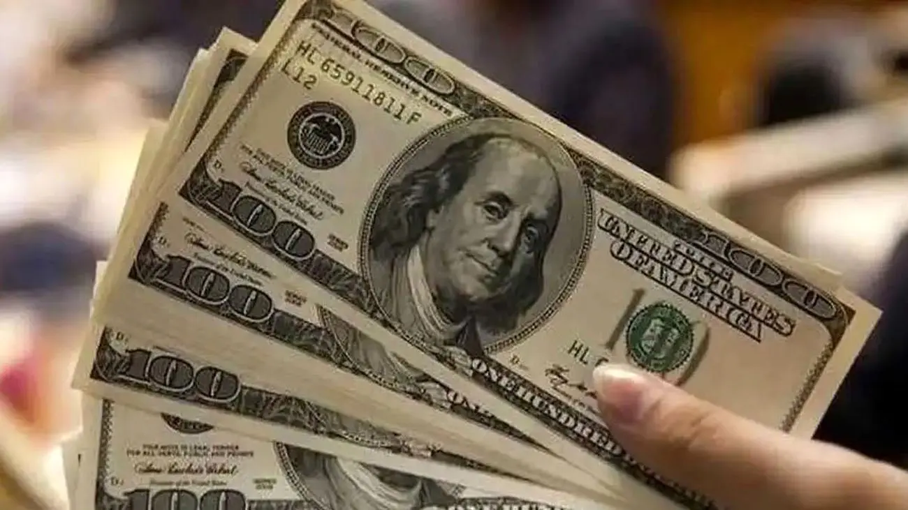 قیمت دلار امروز دوشنبه ۳۱ اردیبهشت ۱۴۰۳ / دلار کشید بالا !