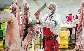 جدیدترین قیمت گوشت گوسفندی و گوساله در بازار / هر کیلو شقه چند ؟!