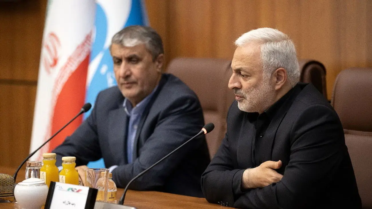 سازمان انرژی اتمی قانون اقدام راهبردی را به خوبی اجرا کرده است/ قدردانی مقام معظم رهبری، مدال افتخاری برای دانشمندان صنعت هستهای