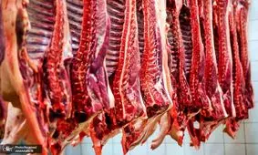 جزئیات توزیع گوشت گوسفندی 142 هزار تومانی در سراسر کشور