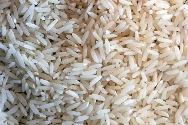 چه عواملی باعث گرانی برنج در ایران شده‌اند؟