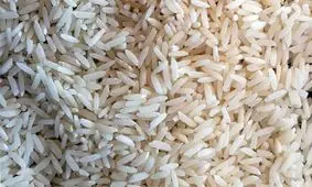 چه عواملی باعث گرانی برنج در ایران شده‌اند؟