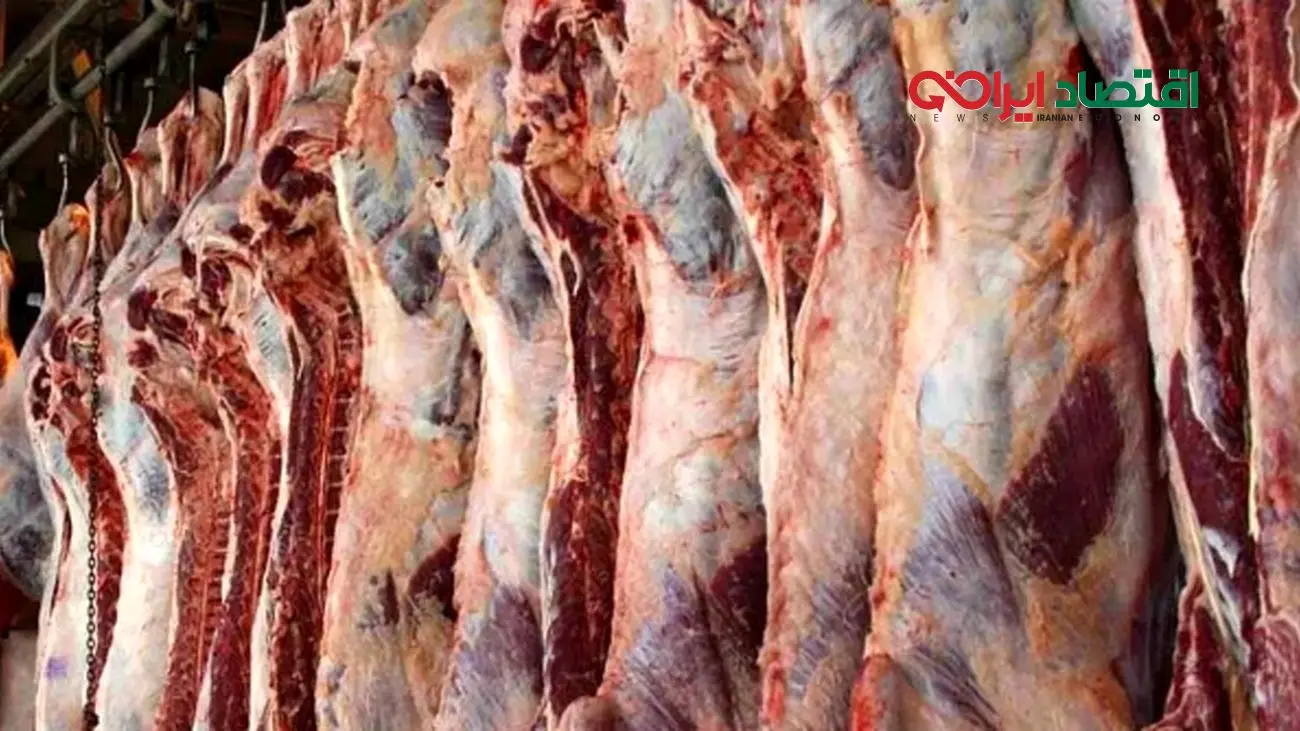 آغاز فروش گوشت قرمز دولتی + جزئیات