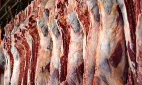آغاز فروش گوشت قرمز دولتی + جزئیات