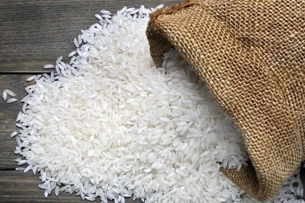 هشدار رئیس کمیسیون کشاورزی/ قیمت برنج ایرانی نباید از این عدد عبور کند!