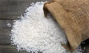 هشدار رئیس کمیسیون کشاورزی/ قیمت برنج ایرانی نباید از این عدد عبور کند!