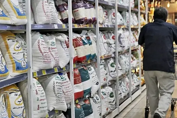 پشت پرده گرانی برنج؛ رقابت داغ دو غول آسیایی برای سفره ایرانی ها!