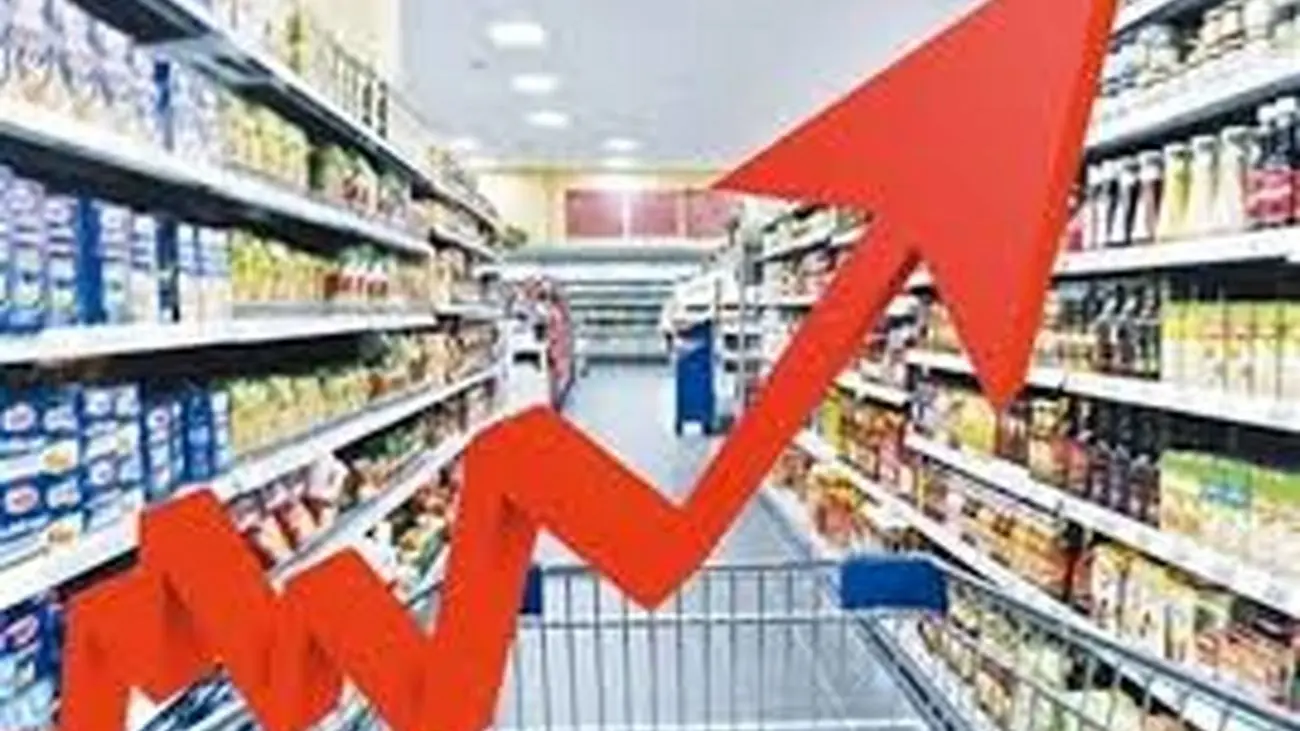 مشکل اقتصاد با عزل وزیر حل نمی شود/سیاست های کلان باید تغییرکند/فرزین باید استیضاح شود