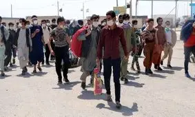 آیا اتباع افغان منابع ملی ایران را به خطر انداخته‌اند؟