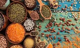 قیمت حبوبات نصف شد! لوبیا ایرانی زیر ۱۸۰ هزار تومان در شهریور ۱۴۰۴