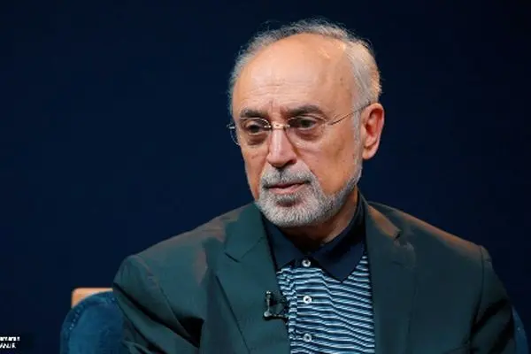 صالحی: مذاکره حتی بی‌نتیجه به اقناع افکار عمومی کمک می‌کند