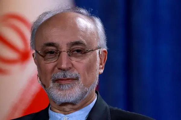 علی‌اکبر صالحی: با هوشمندی چالش هسته‌ای را به سرانجام برسانیم