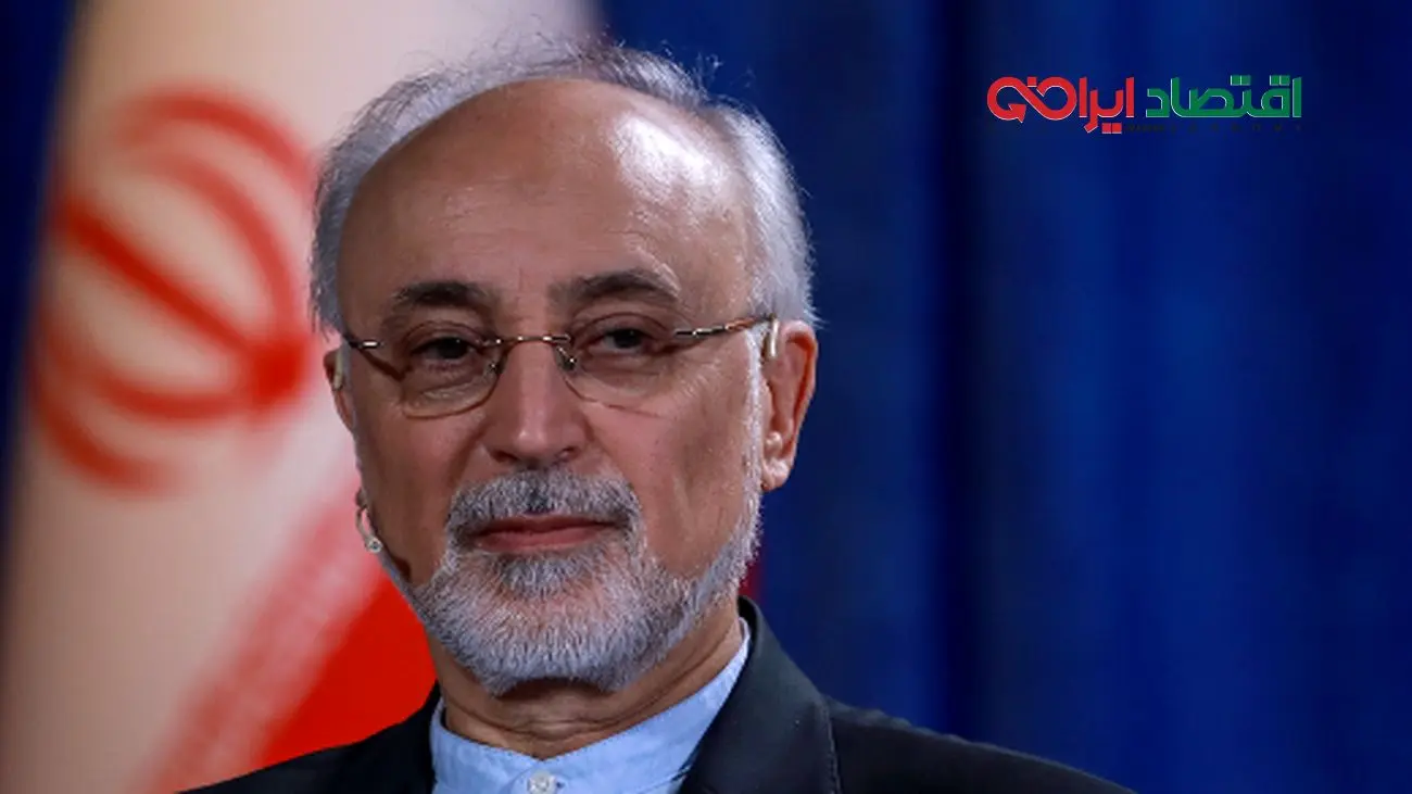 علیاکبر صالحی: با هوشمندی چالش هستهای را به سرانجام برسانیم