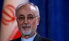 علی‌اکبر صالحی: با هوشمندی چالش هسته‌ای را به سرانجام برسانیم