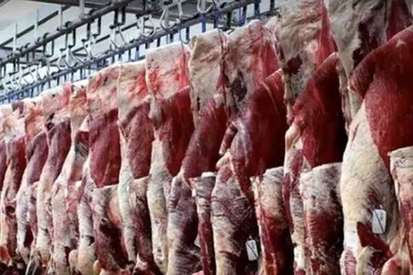 حذف یارانه گوشت قرمز/ گوشت کنیایی گران‌تر از همیشه!