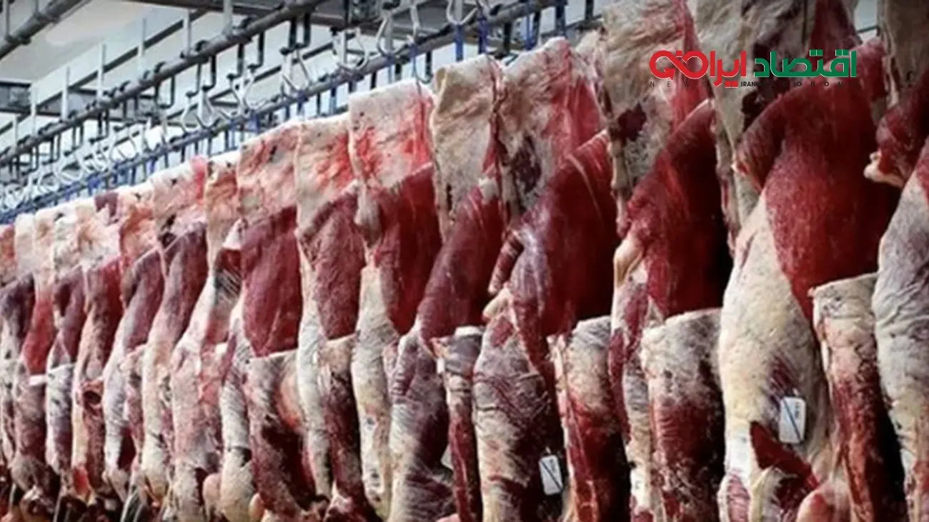 حذف یارانه گوشت قرمز/ گوشت کنیایی گرانتر از همیشه!