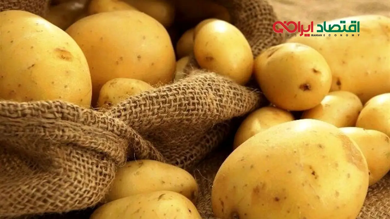 سیب زمینی به سبد خرید کارگران باز می گردد