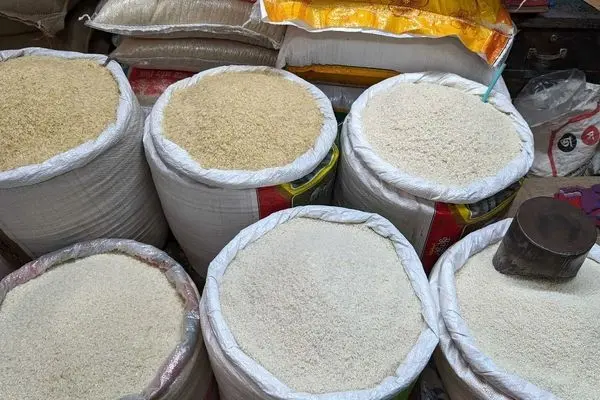 ارزان‌ترین برنج پاکستانی به بازار ایران هجوم آورد!