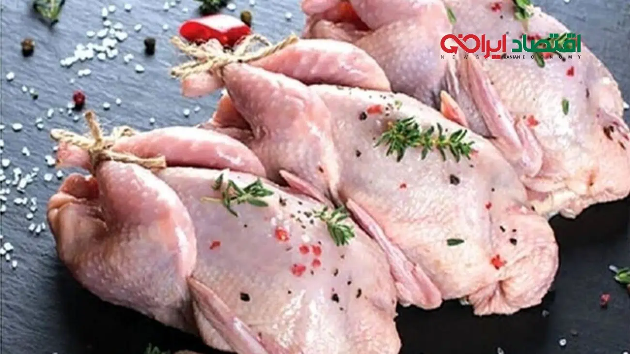 امروز مرغ چند؟ قیمت گوشت مرغ و ران مرغ ۸ شهریور ۱۴۰۴ + جدول