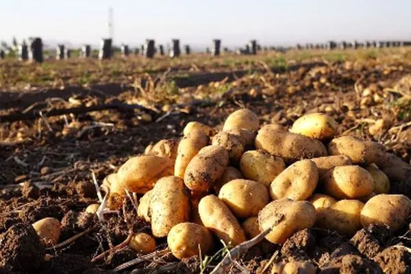 همکاری پاکستان و ترکیه برای کمک به ایران!