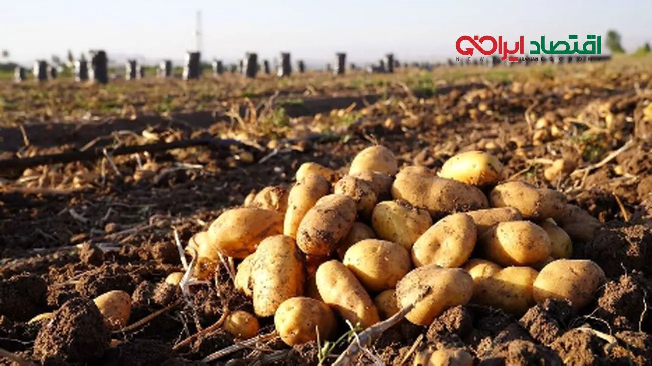 همکاری پاکستان و ترکیه برای کمک به ایران!