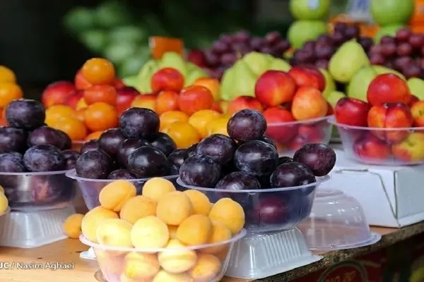 میوه فروش ها می توانند چند درصد سود روی میوه بکشند؟