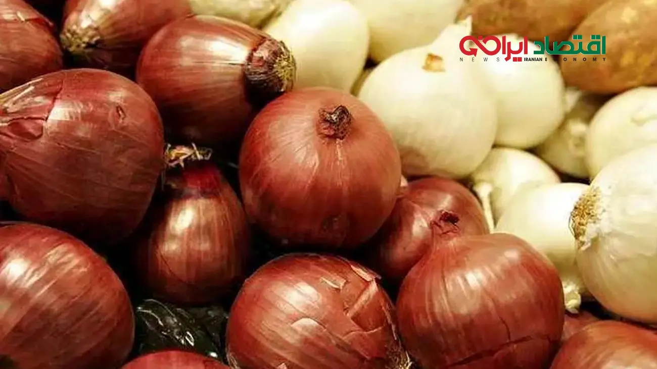 پیاز نخرید به زودی ارزان می‌شود 
